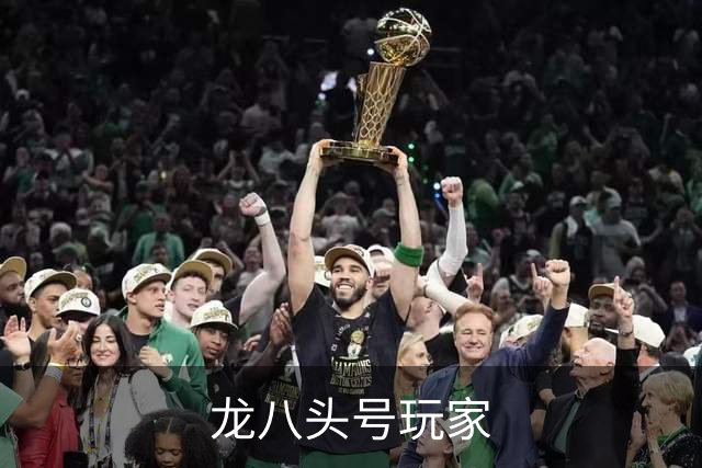 龙八头号玩家公司环境
